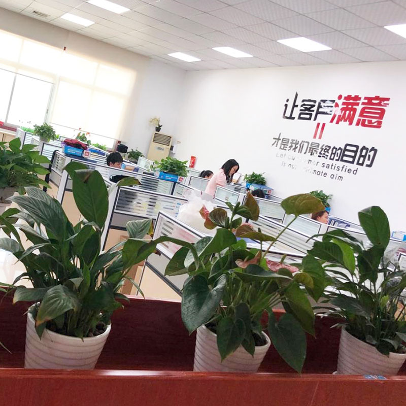 electronic smart door lock company Ilockey Company